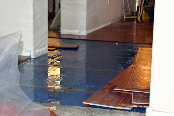 Professional Sewage Cleanup technician working in Staples, TX